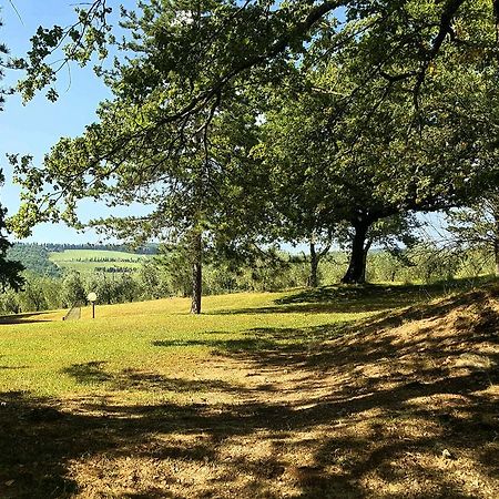 Holiday House Le Selvole Radda in Chianti Ngoại thất bức ảnh