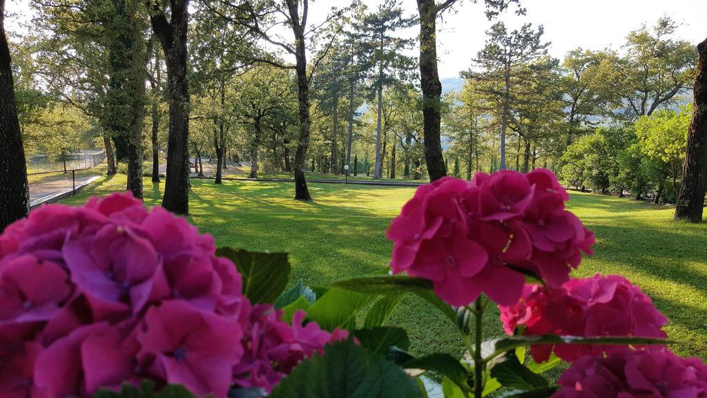 Holiday House Le Selvole Radda in Chianti Ngoại thất bức ảnh