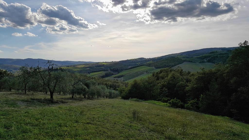 Holiday House Le Selvole Radda in Chianti Ngoại thất bức ảnh