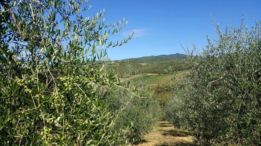 Holiday House Le Selvole Radda in Chianti Ngoại thất bức ảnh