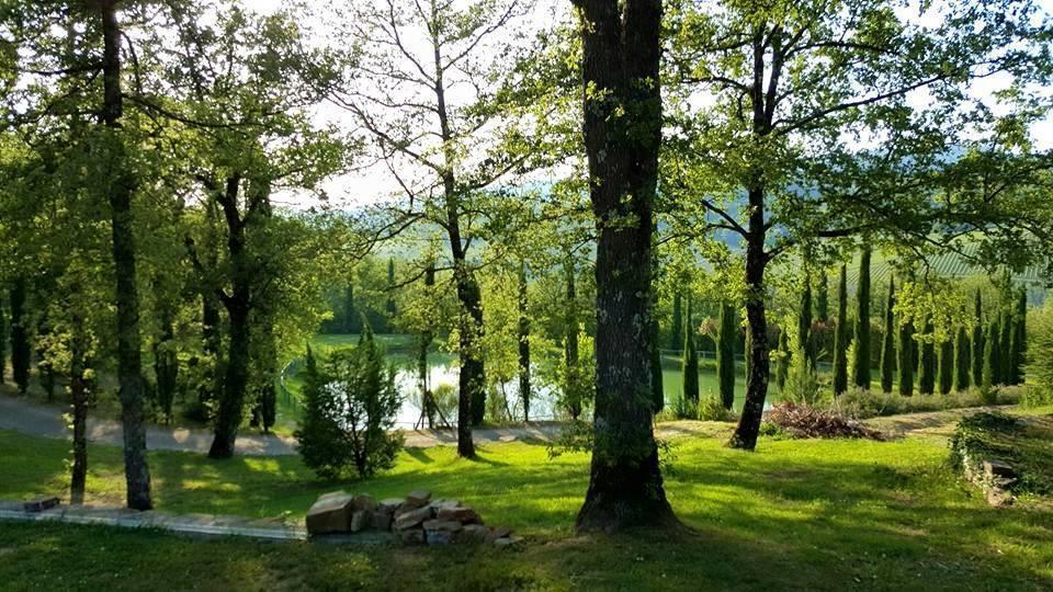 Holiday House Le Selvole Radda in Chianti Phòng bức ảnh