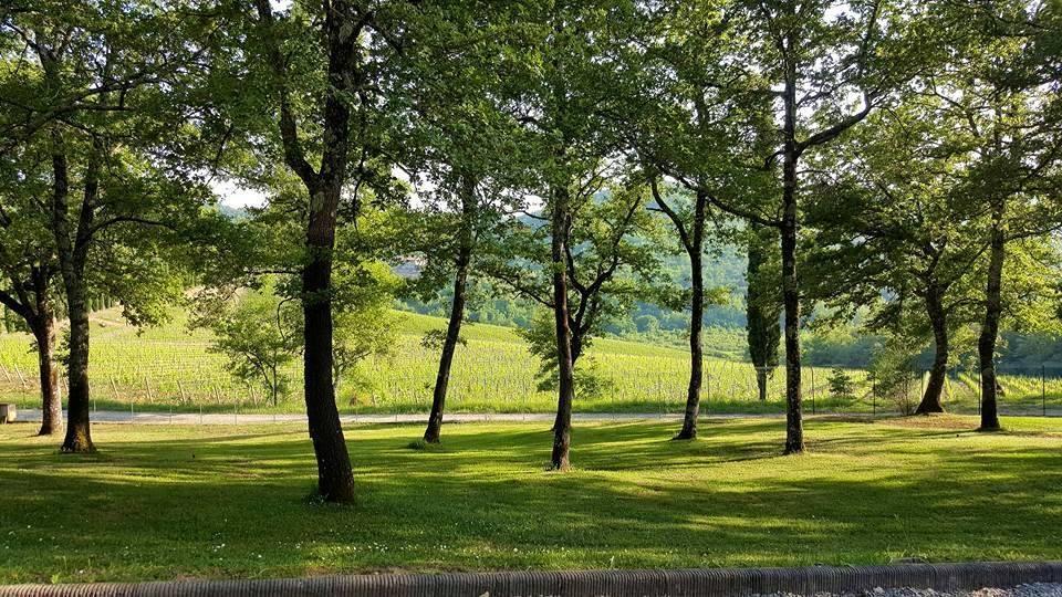Holiday House Le Selvole Radda in Chianti Ngoại thất bức ảnh