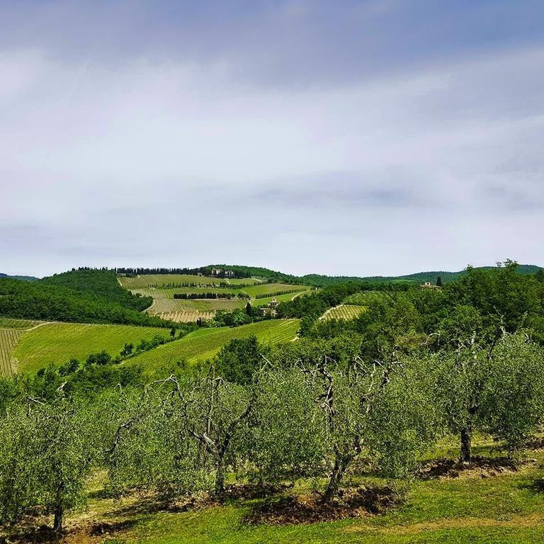 Holiday House Le Selvole Radda in Chianti Phòng bức ảnh