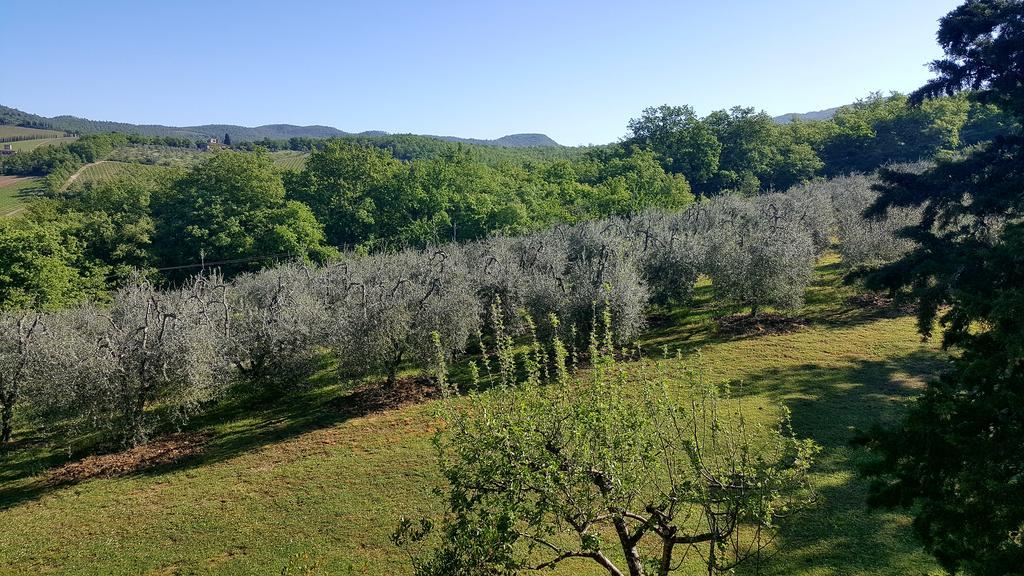 Holiday House Le Selvole Radda in Chianti Ngoại thất bức ảnh