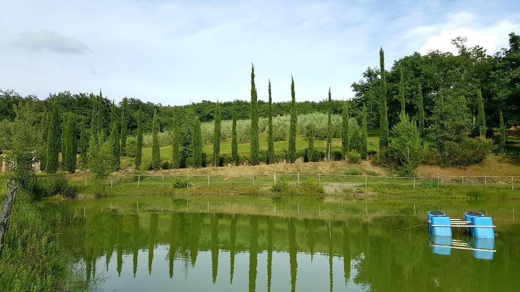 Holiday House Le Selvole Radda in Chianti Ngoại thất bức ảnh